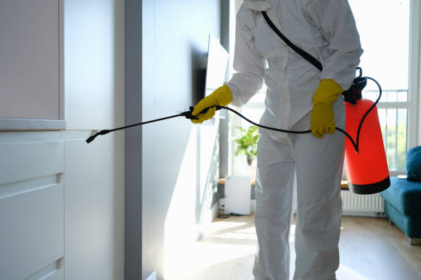 Water Damage Restoration in Alamo, TN